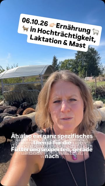 Diana spricht vor ihrer Schafherde über ein Fortbildungsthema