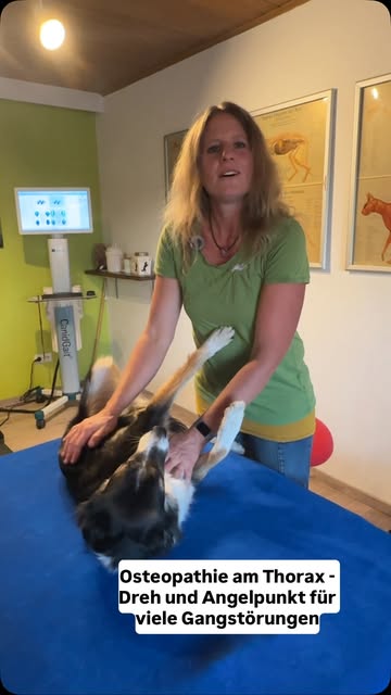 Vorschaubild eines Akademie-Beitrags zur Osteopathie am Thorax